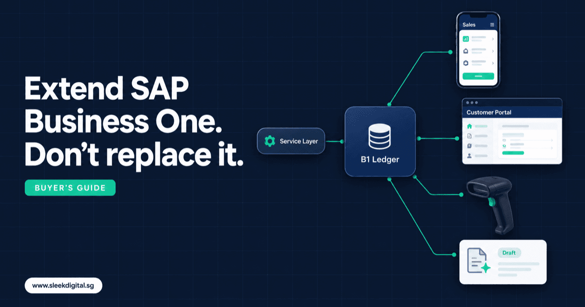 SAP Business One Customisation Singapore: Your 3 Real Options